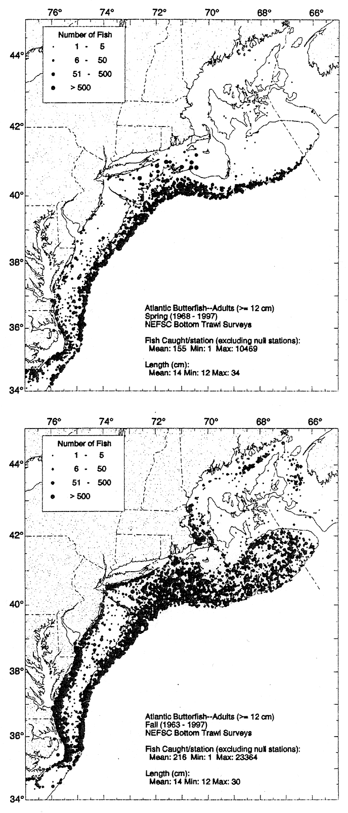 Distribution of Atlantic Butterfish