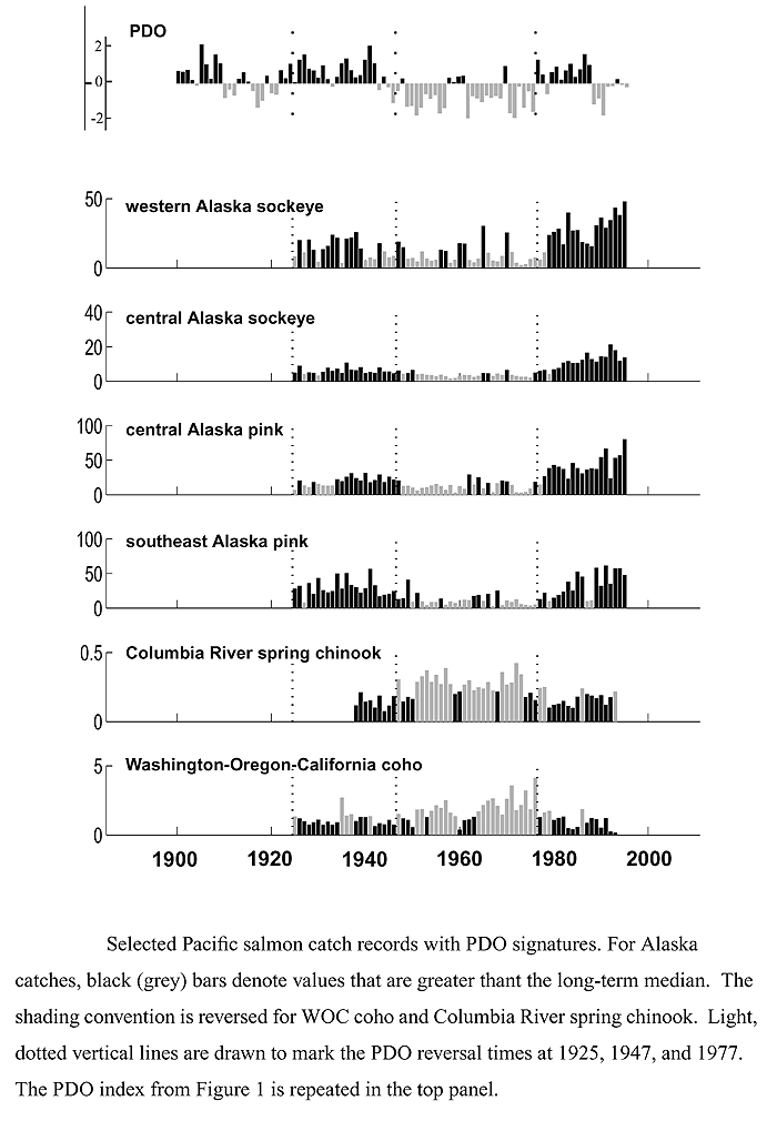 Selected Pacific Salmon Catch Records