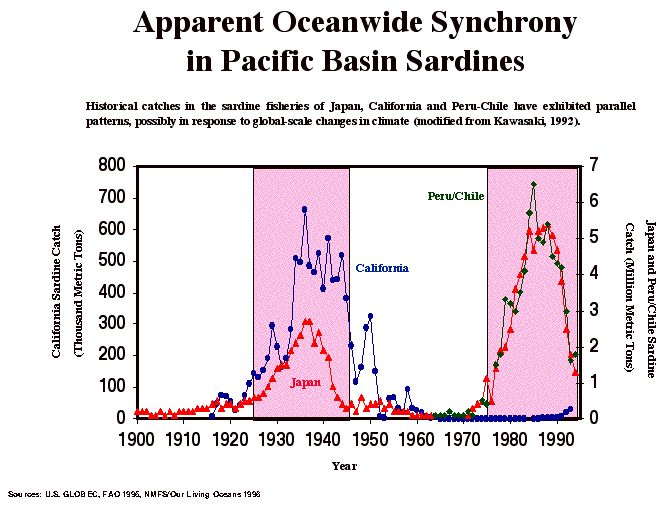 Apparent Oceanwide Synchrony in Pacific Basin Sardine