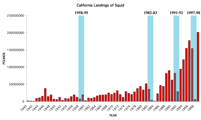 California Landings of Squid with El Nino Years