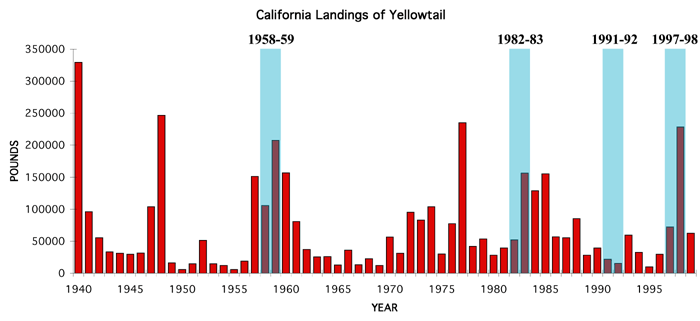 California Landings of Yellowtail with El Nino Years