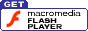 Flash icon image