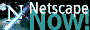 Netscape icon image