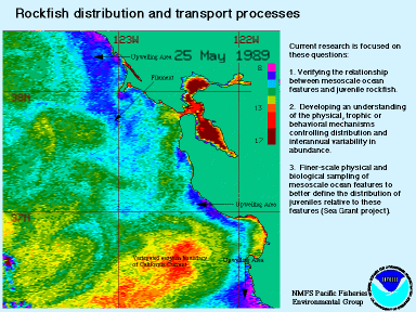 Rockfish distribution and Transport Processes